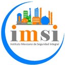 INSTITUTO MEXICANO DE SEGURIDAD INTEGRAL SA DE CV company logo