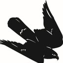 The Peregrine Transportation Co company logo
