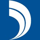 Dynamic Network Solutions company logo