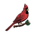 Cardinal of Minnesota, Ltd. company logo