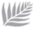 Bahia Beach Resort and Golf Club company logo