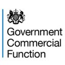 Government Commercial Function company logo