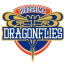 株式会社広島ドラゴンフライズ company logo