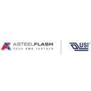 Asteelflash México company logo
