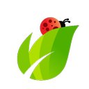 Pantana CPA company logo