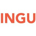 INGU Solutions Inc. company logo