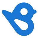 BirdEye Inc company logo