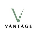 Vantage Technology Consulting Group company logo