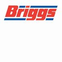 Briggs Marine Contractors Ltd company logo