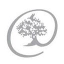Braintree Solution Consulting company logo