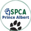 Prince Albert SPCA company logo
