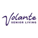 Volante of Grapevine company logo