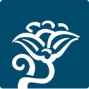 Celdomy B.V. company logo
