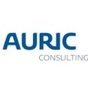 Auric Consulting LLC company logo