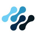 Digi Security Systems company logo