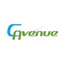 有限会社 クリーンアベニュー company logo