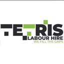 Tetris Labour Hire company logo