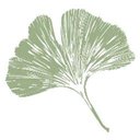 Bournewood Health Systems company logo
