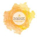 Spirit of OM GmbH company logo
