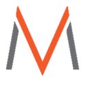 Virtuous Management Group Llc company logo