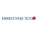 Borinquen Health Care Center company logo