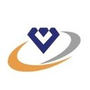 Vaibhav Global company logo