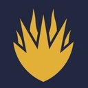 Bryanston School company logo