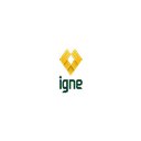 Igne Group Ltd company logo