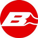 Buck GmbH & Co. KG company logo