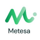 METESA FRANCE company logo
