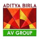 AV Group NB Inc. company logo