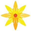 Dart Harbour company logo