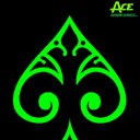 Ace Outdoor Services company logo