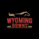 WYOMING DOWNS, LLC company logo