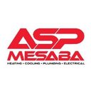All Service Professionals company logo