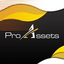 ProTalents/ProAssets Solutions company logo