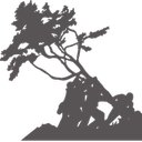 Carmel Landscapes company logo