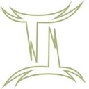 The Gemini company logo