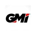GMI DISTRIBUIDORA company logo