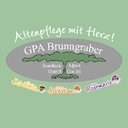 GPA Brunngraber Alpen GmbH company logo