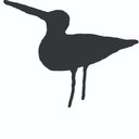 KIAWAH ISLAND COMMUNITY ASSOCIATION company logo