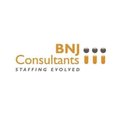 BNJ Consultants company logo