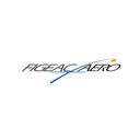 Figeac Aero North America, Inc company logo