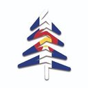 Blue Spruce Maids company logo