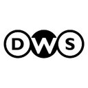 Digital Web Solutions company logo