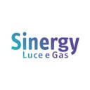 SINERGY company logo