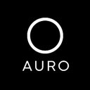 Auro New Transport Concept company logo