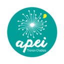 APEI company logo
