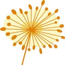 Pusteblume gGmbH company logo