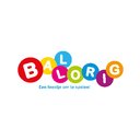 Ballorig BV company logo